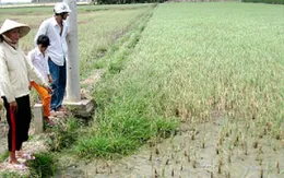 Biến đổi khí hậu: Không còn là dự báo