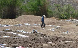 “Sống dở, chết dở” vì nhà máy sản xuất tinh bột sắn 