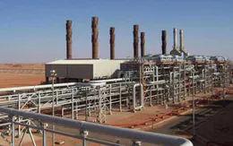 Phiến quân Algeria bắt cóc 41 con tin nước ngoài