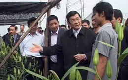 Chủ tịch nước: Nông dân là nhân tố quyết định XD nông thôn mới   