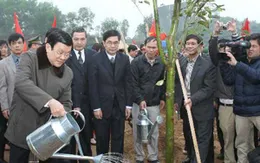Chủ tịch nước phát động Tết trồng cây tại Bắc Giang