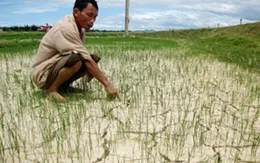 Miền Trung, Tây Nguyên đối mặt với hạn lớn 