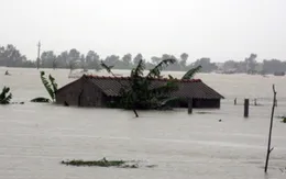 Việt Nam hưởng ứng ngày Khí tượng Thế giới  