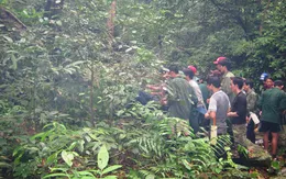 Bắt nghi phạm thứ ba trong vụ thảm sát 5 thợ rừng       