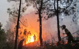 Thiếu tá quân đội anh dũng hy sinh khi tham gia chữa cháy      