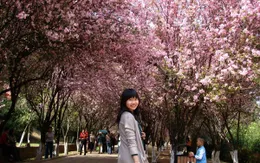 6 điểm không thể bỏ qua khi đến Trung Quốc xuân này