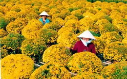 Xứ Lạng - 'thiên đường' của đặc sản