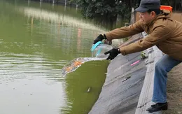 Hà Nội tổ chức lễ hội ông Công ông Táo 