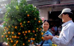 Phiên chợ quê ngày Tết