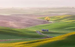 Cánh đồng cỏ dài bất tận đẹp mê hồn ở Mỹ