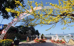 Khai hội Đường hoa xuân Bạch Đằng