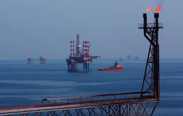 Giá dầu thô tăng mạnh trở lại