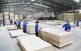 Mục tiêu tăng trưởng cả năm 8,3 - 8,5% hoàn toàn khả thi