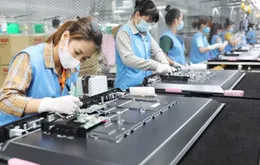 Việt Nam đẩy mạnh thu hút dòng vốn FDI kiểu mới