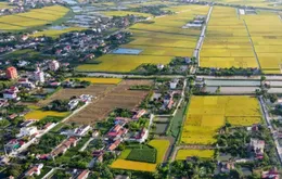 Đề xuất điều chỉnh Quy hoạch sử dụng đất quốc gia thời kỳ 2021-2030, tầm nhìn đến năm 2050