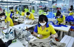 Sau Tết, ngành nào tại TP. Hồ Chí Minh khát nhân lực?