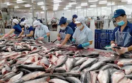 Cao điểm gỡ thẻ vàng thủy sản
