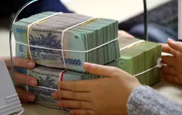 Đảm bảo nguồn tín dụng cho sản xuất cuối năm