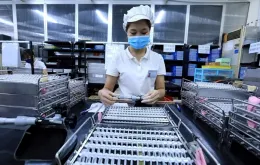 72% lãnh đạo doanh nghiệp châu Âu sẵn sàng giới thiệu Việt Nam là điểm đến đầu tư