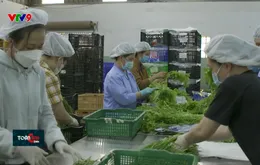 Trung Quốc yêu cầu xác nhận từ cơ quan thẩm quyền với 20 nhóm nông sản