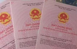 TP Hồ Chí Minh bảo đảm tiến độ cấp 68.000 sổ hồng trong năm 2026
