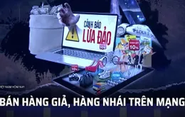 Nỗi lo hàng giả, hàng nhái tràn lan qua mạng