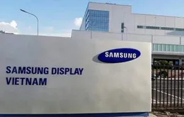 Samsung Việt Nam tăng trưởng doanh thu nhưng lợi nhuận sụt giảm mạnh