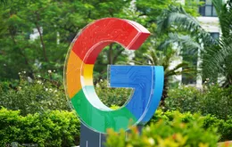 Google mở văn phòng tại Việt Nam, thúc đẩy chuyển đổi số từ 2025