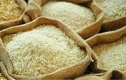 Gạo Việt giữ lợi thế ở phân khúc cao cấp