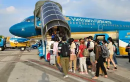 Bí quyết "sinh tồn" khi bay mùa lễ Tết: Đừng để hành trình thành nỗi ám ảnh