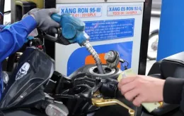 Giá xăng dầu hôm nay 12/12/2024: Tăng nhẹ do tác động từ các lệnh trừng phạt mới