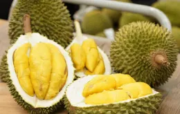 Biến sầu riêng bị sượng thành những món ngon khó cưỡng