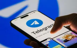 Telegram: Sự phổ biến và những nguy cơ lừa đảo tại Việt Nam