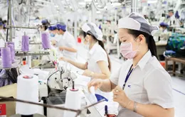 Dệt may Việt Nam tự tin hướng đến mục tiêu 48 tỷ USD trong năm 2025