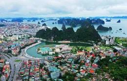 Loạt "đất vàng" bỏ không tại Hạ Long cho thuê ngắn hạn