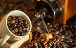 Đưa cà phê Việt tiến sâu vào thị trường tỷ dân