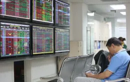 HOSE ra mắt giao diện website mới cùng thời điểm vận hành KRX