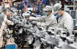 Công bố số liệu tổng điều tra kinh tế 2026 sớm 7 tháng