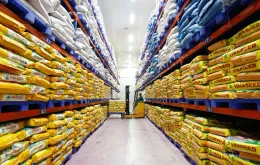 Bất ngờ sức hấp dẫn gạo Việt Nam ở thị trường Nhật Bản