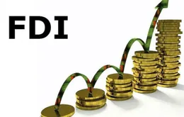 Nâng cao chất lượng dòng vốn FDI