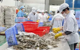 4 tháng, nông lâm thủy sản xuất siêu gần 5,2 tỷ USD
