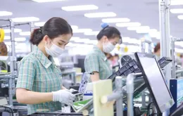 Việt Nam giữ đà hút vốn FDI chất lượng cao giữa cơn sóng bất ổn toàn cầu
