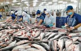 Giữ đà tăng trưởng xuất khẩu thủy sản