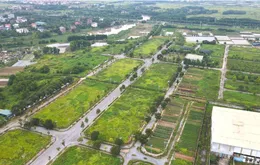 Hưng Yên triển khai đấu giá 231 lô đất với giá khởi điểm từ 9 triệu đồng/m²