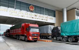 Xuất khẩu hàng nông sản qua cửa khẩu Lào Cai đạt 160 triệu USD