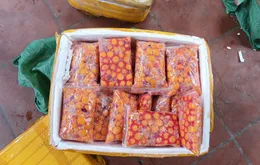 Hà Nội: Tạm giữ 800kg trứng gà non và tràng gà không rõ nguồn gốc