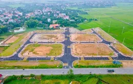 Hà Nội đấu giá 4 thửa đất tại Phúc Thọ, giá khởi điểm chỉ từ 7,9 triệu đồng/m2
