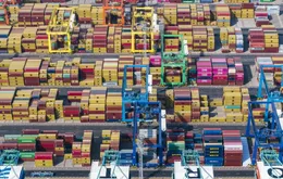 Mỹ sẽ áp thuế khác nhau cho từng quốc gia sau phán quyết của Tòa án Tối cao