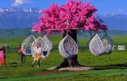 Trung Quốc nổi lên xu hướng du lịch "dưỡng sinh"