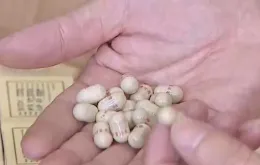 Tăng cường kỷ luật công vụ, siết chặt kiểm soát hàng giả trong lĩnh vực y tế